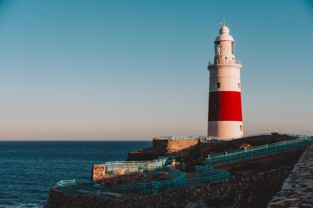 pexels-liisbet-luup-121486327-32437895